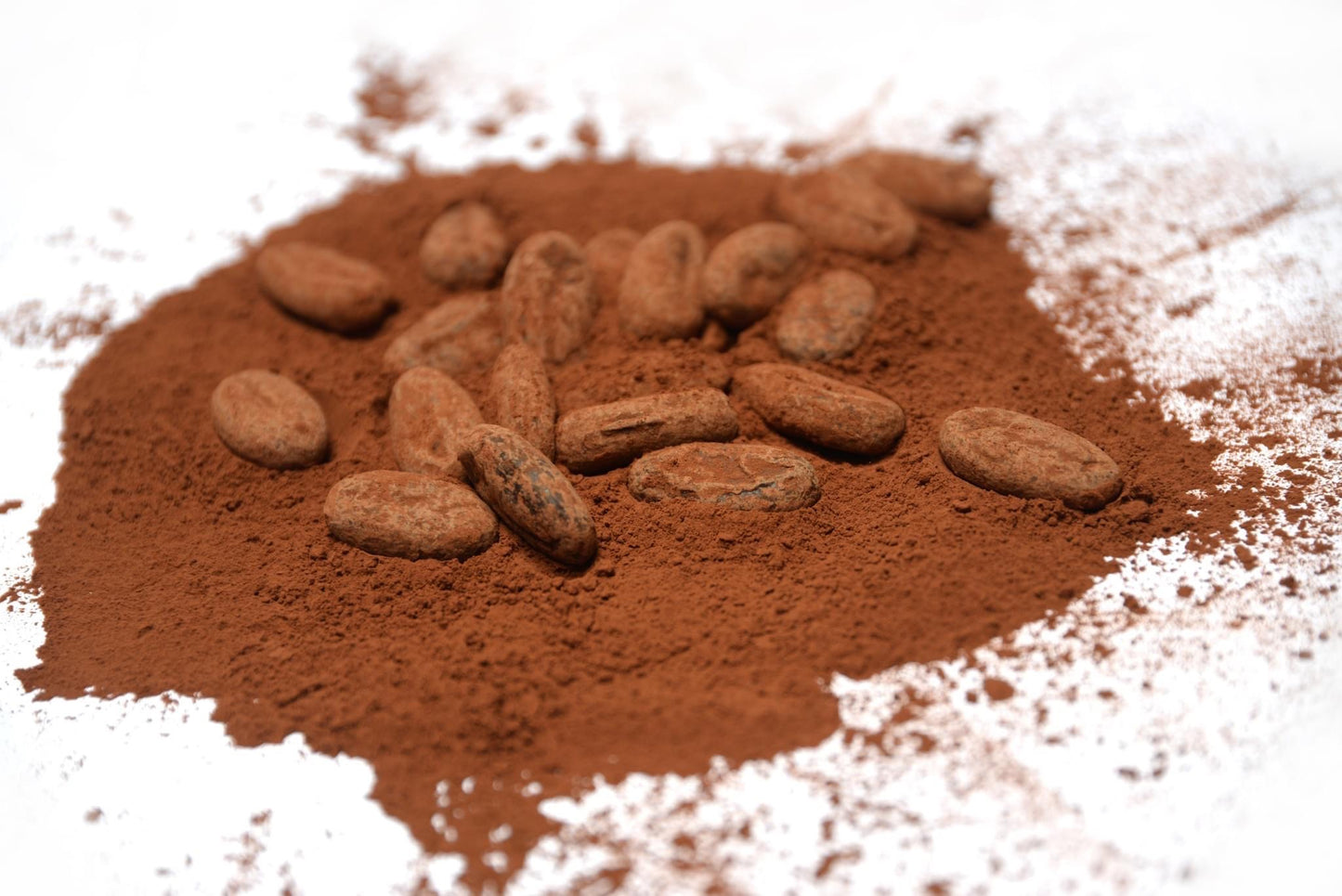 Visser Chocolade Bean to Bean