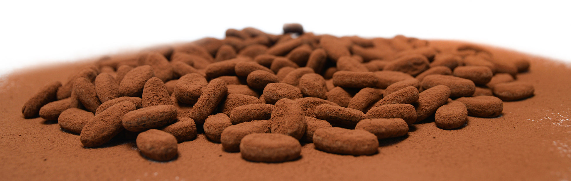 Bean to Bean Gianduja